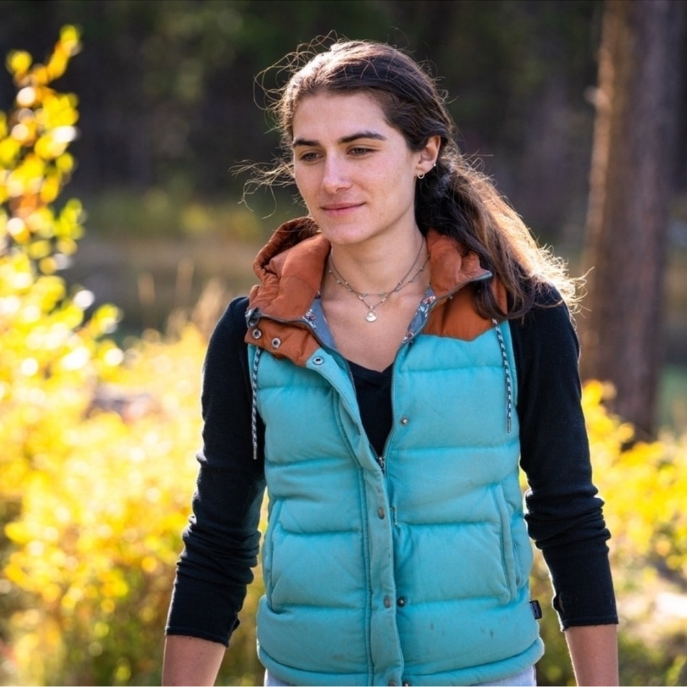 Patagonia Bivy Hooded Down Vest in Mogul Blue size L mushroom print interior - Picture 3 of 10